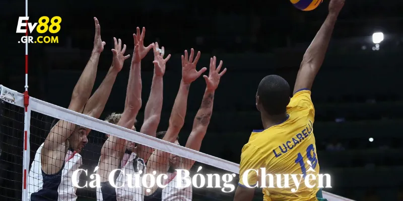 Cá Cược Bóng Chuyền: Hướng dẫn chi tiết & 7 Mẹo hay 2025