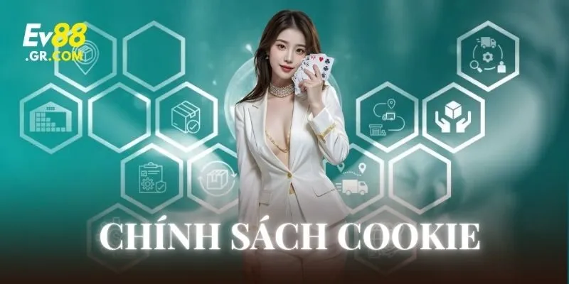 Chính Sách Cookie quy định về quyền lợi hai bên như thế nào?